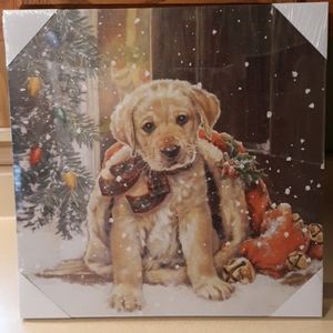 Light up dog Christmas  picture